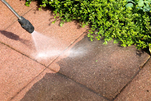 Best Pressure Washing Services Near Me  in South Bend, WA